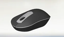 Mouse Model