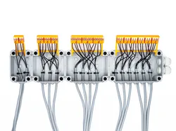 Junction Box PLUS - 50mm - Set