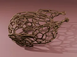 Cooked Turkey Voronoi