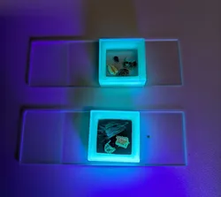 Cover glass spacers for (stereo) microscopy slides, customizable