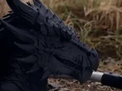 Dragon head - dragon