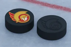 Ottawa Senators NHL Hockey Puck Logo