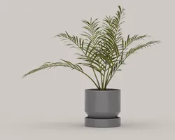 Planter assortment