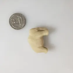 Ice Age Mammoth