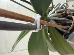 Plant Tie 4mm