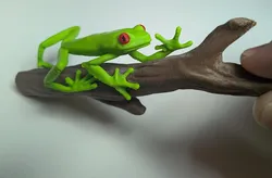 Red Eyed Tree Frog (Agalychnis callidryas) climbing a stick