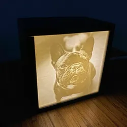 Simple Lithophane Box (Holds 1 Panel)