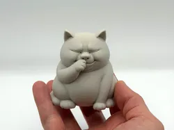 Smelly Chonk Cat