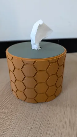 Toilet paper tissue box honeycomb