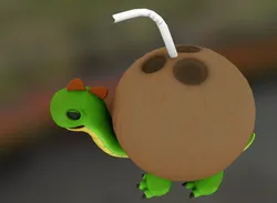 toy coconut turtle