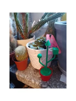 USB logo cactus
