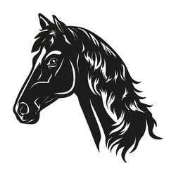 wall art horse