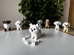 West Highland white terrier