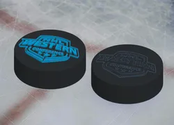 Western Conference NHL Hockey Puck Logo