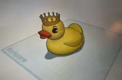 Duck with Crown