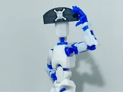 Dummy 13 Pirate Hat!