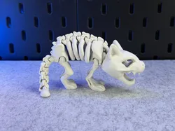 Articulated Skeleton Cat