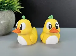 Cute Duck
