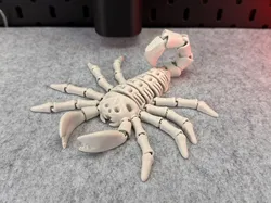 Flexi Skeleton Scorpion