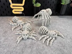 Flexi Skeleton Spider V2