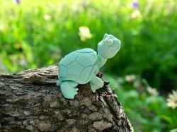 Happy Old Turtle