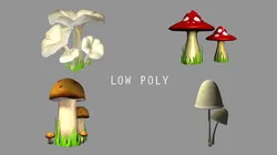 mushroom bundle