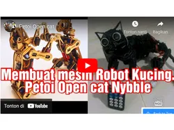 Open cat nybble