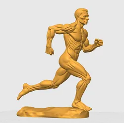 Runner