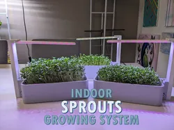 Smart Sprouts/Green Indoor Growing System