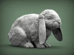 American Fuzzy Fop 3D Print Model in Sculpture 560030