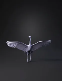 egret with wings spread white feathers long black legs
