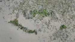 Llongddrylliad | Shipwreck, Morfa Nefyn