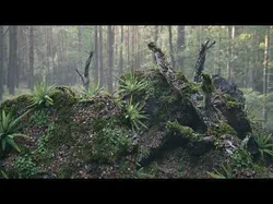Moss Biome Ground Scatter - 3D AssetKit PBR Low-poly 3D model