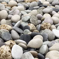 Pebble color 3D model