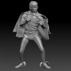 ROBIN CLASSIC