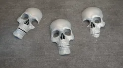Skulls - Wall Decoration 3D print model