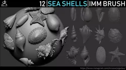 Zbrush - Seashells IMM Brush 3D model