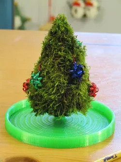 Christmoss Tree!