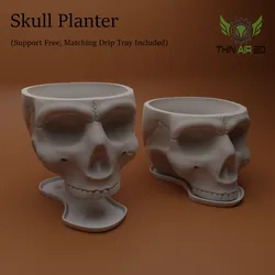 Halloween Skulls/Skull Decor -  Halloween Decor