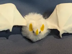 Honduran White Bat - Ectophylla alba