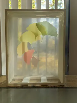 Letter Sized Shadowbox