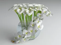 flowers composition 03