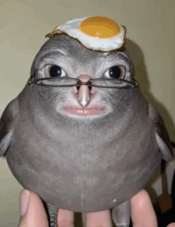 John Mud TikTok meme bird