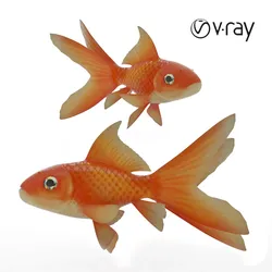 gold fish
