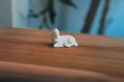 Lamb Lying Down