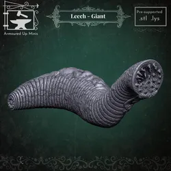 Leech