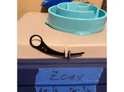 Dog food bin security