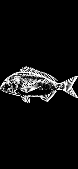 keychein fish 3D Print Model in Keychains 345139