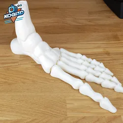 Print in Place Fully Articulated Skeleton Foot