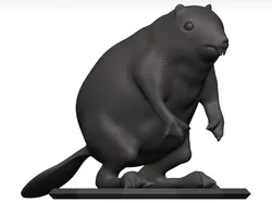 Beaver